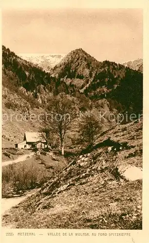 AK / Ansichtskarte Metzeral_Haut_Rhin Vallee de la Wolmsa au fond Spitzkoepfe Metzeral_Haut_Rhin