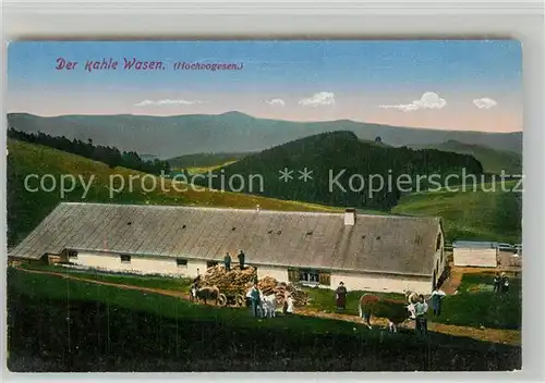 AK / Ansichtskarte Vogesen_Vosges_Region Der Kahle Wasen Vogesen_Vosges_Region