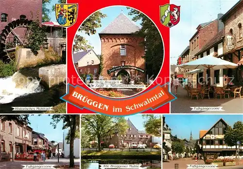 AK / Ansichtskarte Brueggen_Niederrhein Muehlrad Burg Naturkundemuseum  Brueggen Niederrhein