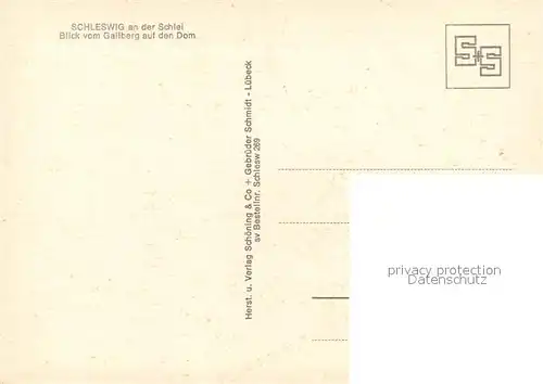 AK / Ansichtskarte Schleswig_Schlei Blick vom Gallberg auf den Dom Schleswig_Schlei