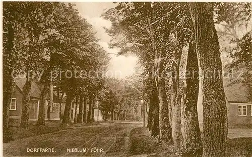 AK / Ansichtskarte Nieblum Dorfpartie Baumallee Nieblum