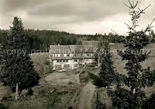 AK / Ansichtskarte Kniebis_Freudenstadt Pension Waldblick Kurort Wintersportplatz im Schwarzwald Kniebis_Freudenstadt