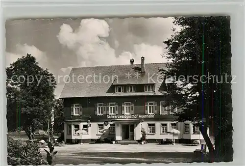 AK / Ansichtskarte Zwieselberg_Freudenstadt Schwarzwaldgasthof Auerhahn Kurort Wintersportplatz im Schwarzwald Zwieselberg_Freudenstadt