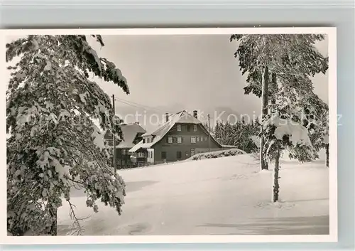 AK / Ansichtskarte Kniebis_Freudenstadt Gasthaus Pension zum Schwarzwald im Winter Kniebis_Freudenstadt