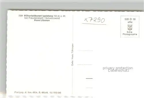 AK / Ansichtskarte Igelsberg Hoehenluftkurort im Schwarzwald Haus Libanon Fliegeraufnahme Igelsberg