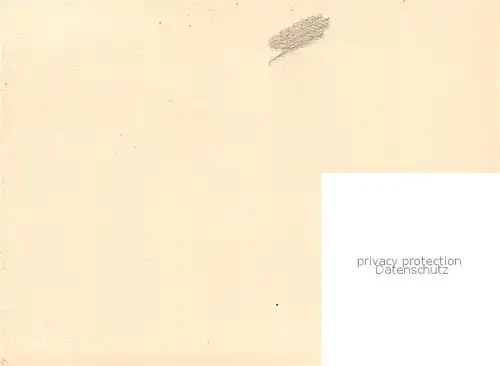 AK / Ansichtskarte Bukarest Cafeu Royale Bukarest