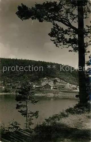 AK / Ansichtskarte Lac_Noir_Alsace Vue partielle Lac_Noir_Alsace