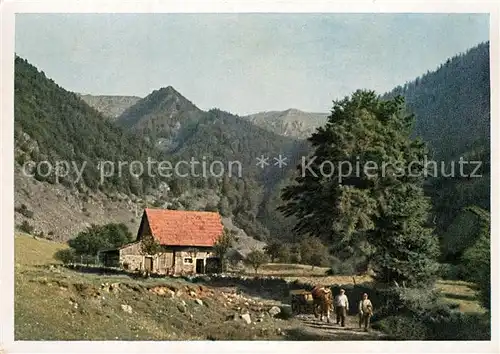 AK / Ansichtskarte Muenster_Haut_Rhin_Elsass Im Wormsatal Muenster_Haut_Rhin_Elsass