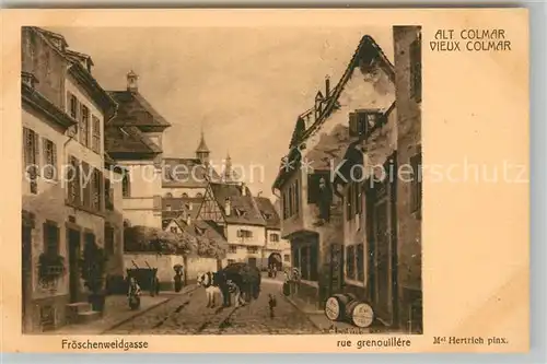AK / Ansichtskarte Colmar_Haut_Rhin_Elsass Froeschenweidgasse Colmar_Haut_Rhin_Elsass