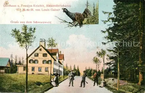 AK / Ansichtskarte Kniebis_Freudenstadt Gasthaus Pension Alexanderschanze Auerhahn Schwarzwald Kniebis_Freudenstadt