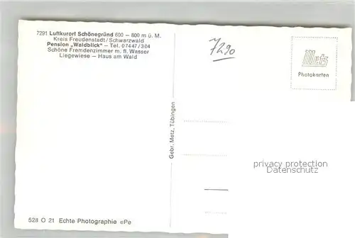 AK / Ansichtskarte Schoenegruend Pension Waldblick Luftkurort im Schwarzwald Schoenegruend