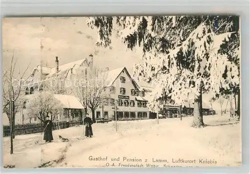 AK / Ansichtskarte Kniebis_Freudenstadt Gasthof Pension zum Lamm Winterpanorama Schwarzwald Kniebis_Freudenstadt