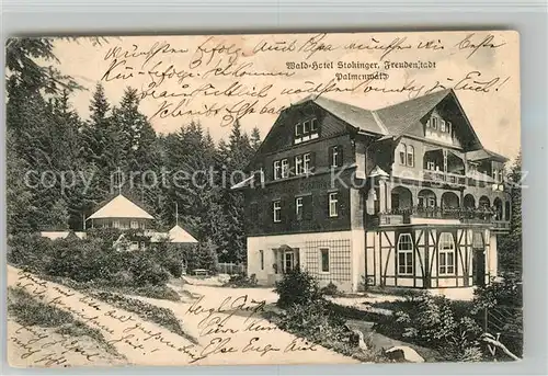 AK / Ansichtskarte Freudenstadt Waldhotel Stokinger Palmenwald Schwarzwald Freudenstadt