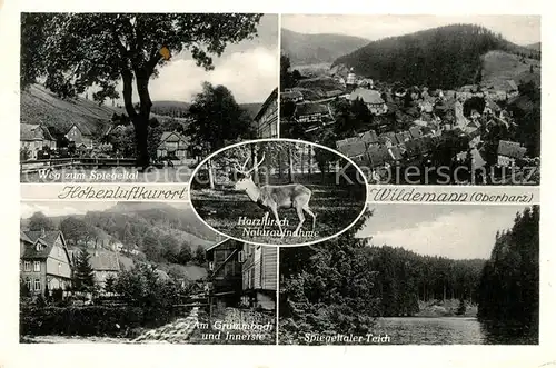 AK / Ansichtskarte Wildemann Spiegeltaler Teich Grummbach und Innerste Hirsch  Wildemann