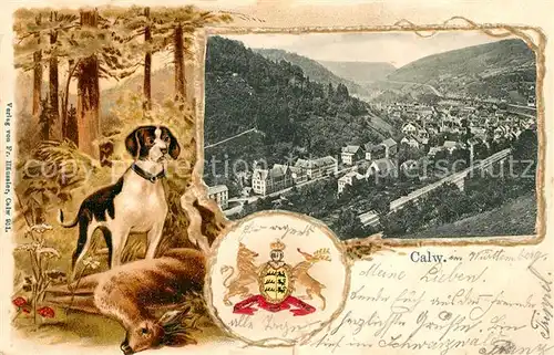 AK / Ansichtskarte Calw  Calw