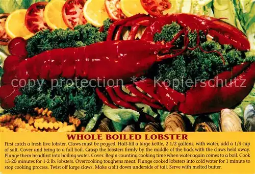 AK / Ansichtskarte Meerestiere Boiled Lobster Hummer  Meerestiere