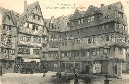AK / Ansichtskarte Frankfurt_Main Grosse Fischergasse mit Freiheitsbrunnen Frankfurt Main