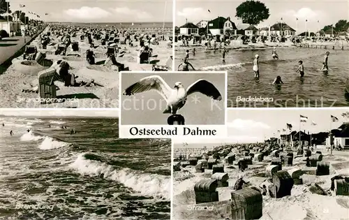 AK / Ansichtskarte Dahme_Ostseebad Strand Moeve Dahme_Ostseebad