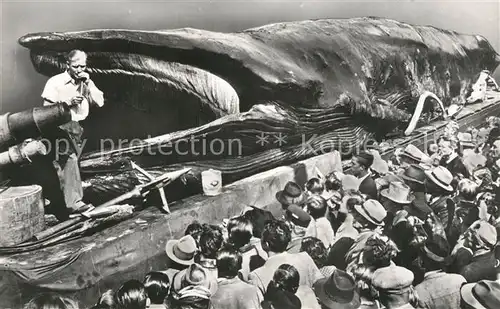 AK / Ansichtskarte Wal Jonah Giant Whale  Wal