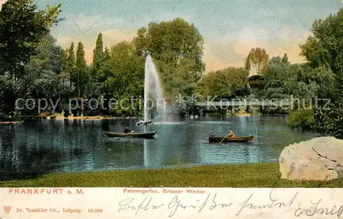 AK / Ansichtskarte Frankfurt_Main Palmenarten Grosser Weiher Fontaene Bootfahren Frankfurt Main