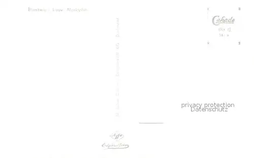 AK / Ansichtskarte Blomberg_Lippe Marktplatz Blomberg Lippe