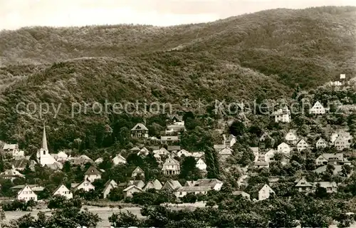 AK / Ansichtskarte Alsbach_Bergstrasse Panorama Alsbach_Bergstrasse