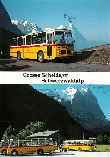 AK / Ansichtskarte Autobus_Omnibus Grosse Scheidegg Schwarzwaldalp  Autobus Omnibus