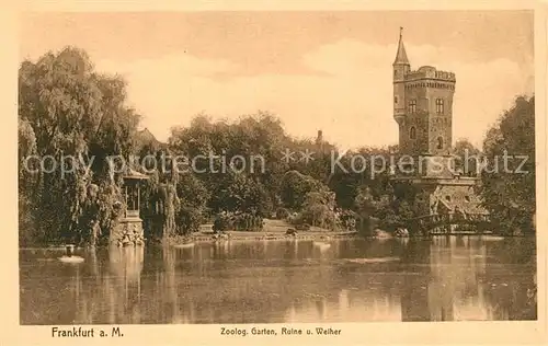 AK / Ansichtskarte Frankfurt_Main Zoologischer Garten Ruine und Weiher Frankfurt Main