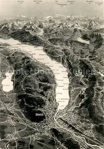 AK / Ansichtskarte Zuerichsee_ZH Panoramakarte Zuerichsee ZH