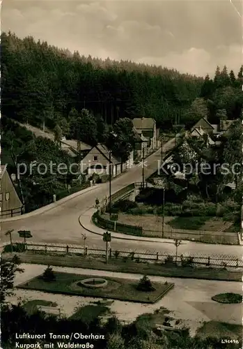 AK / Ansichtskarte Tanne_Harz Kurpark mit Waldstrasse Tanne_Harz