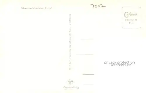 AK / Ansichtskarte Elzach Schwarzwaldtrachten Elztal Elzach