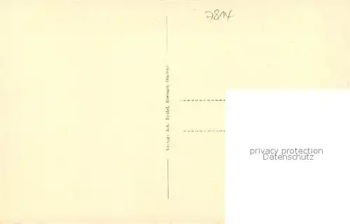 AK / Ansichtskarte Breisach_Rhein Uferpartie am Rhein Schiffsbruecke Blick zum Muenster Breisach Rhein