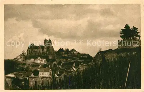 AK / Ansichtskarte Breisach_Rhein Blick zum Muenster Kupferdruck Breisach Rhein