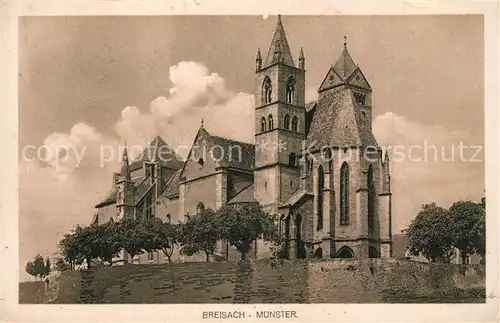 AK / Ansichtskarte Breisach_Rhein Muenster Breisach Rhein