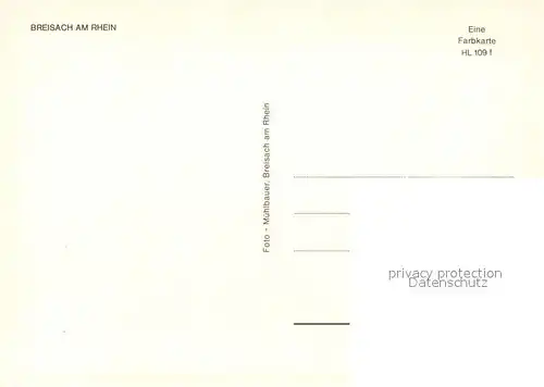 AK / Ansichtskarte Breisach_Rhein St Stephansmuenster Innenansichten Kirchenfenster Breisach Rhein