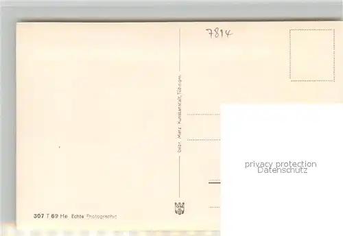 AK / Ansichtskarte Breisach_Rhein Schiffsbruecke Blick zum Muenster Breisach Rhein