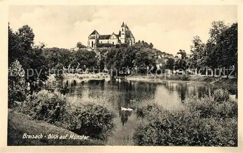 AK / Ansichtskarte Breisach_Rhein Blick auf Muenster Breisach Rhein