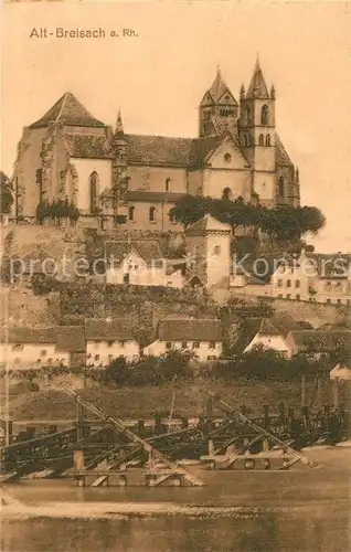AK / Ansichtskarte Alt_Breisach_Rhein Schiffsbruecke Muensterberg St Stephansmuenster 