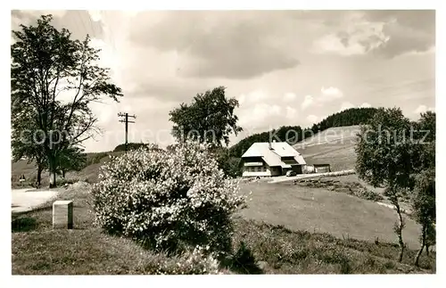 AK / Ansichtskarte Oberprechtal Hoehengasthaus Landwassereck Schwarzwald Oberprechtal