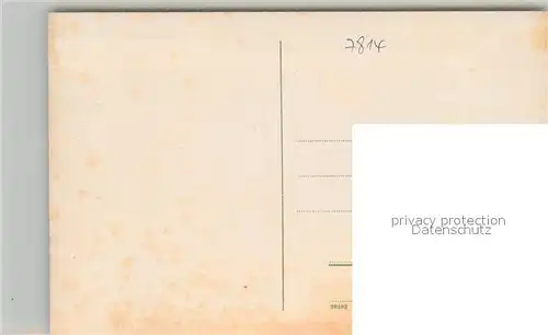 AK / Ansichtskarte Breisach_Rhein Uferpartie am Rhein Schiffsbruecke Dampfer Muensterberg St Stephansmuenster Breisach Rhein