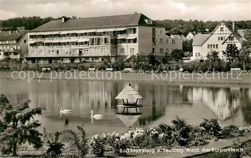 AK / Ansichtskarte Bad_Meinberg Kurparkteich Bad_Meinberg
