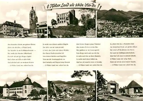 AK / Ansichtskarte Neustadt_Weinstrasse Hambacher Schloss Bad Bergzabern Annweiler Weintor Neustadt_Weinstrasse