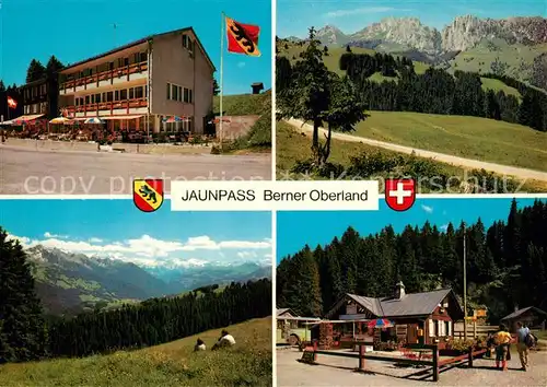 AK / Ansichtskarte Jaunpass Hotel des Alpes Panorama Simmental Gastlosen Sportbazar Jaunpass