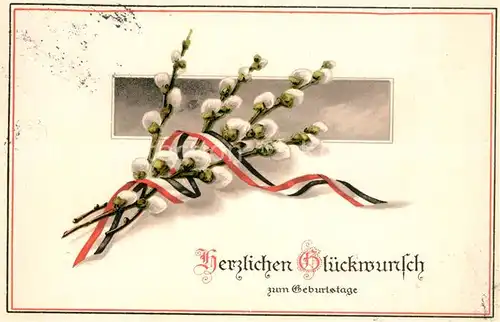 AK / Ansichtskarte Schwarz_Weiss_Rot Glueckwunsch Geburtstag Weidenkaetzchen Litho Schwarz_Weiss_Rot