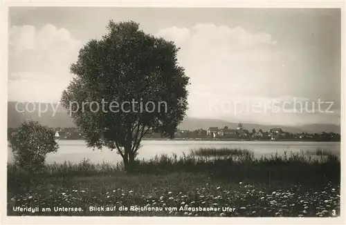 AK / Ansichtskarte Allensbach_Bodensee Uferidyll am Allensbacher Seeufer Blick auf Insel Reichenau Allensbach_Bodensee