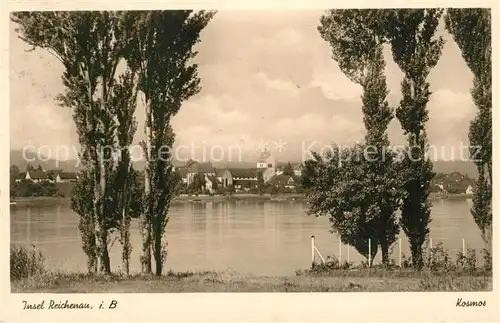 AK / Ansichtskarte Insel_Reichenau Ansicht vom Seeufer aus Pappeln Insel Reichenau