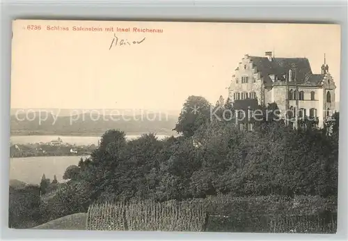 AK / Ansichtskarte Salenstein_TG Schloss mit Insel Reichenau Salenstein_TG