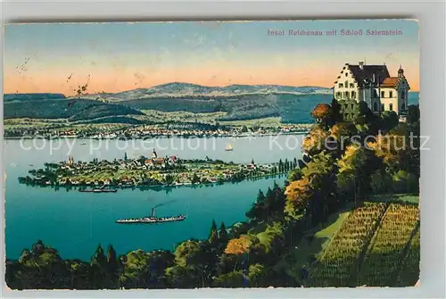 AK / Ansichtskarte Salenstein_TG Schloss mit Blick auf Insel Reichenau Kuenstlerkarte Salenstein_TG