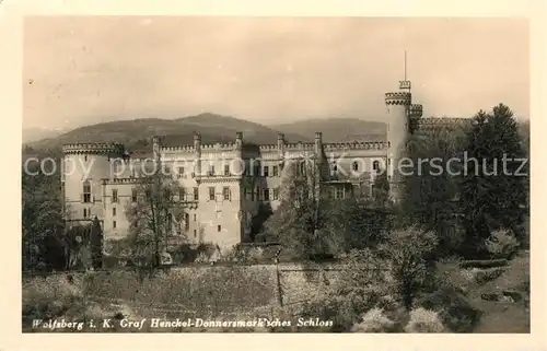 AK / Ansichtskarte Wolfsberg_Kaernten Graf Henckel Donnersmarksches Schloss  Wolfsberg Kaernten