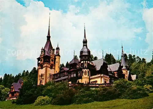 AK / Ansichtskarte Sinaia Muzeul Peles Sinaia